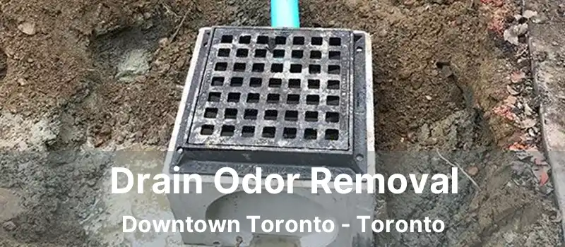  Drain Odor Removal Downtown Toronto - Toronto